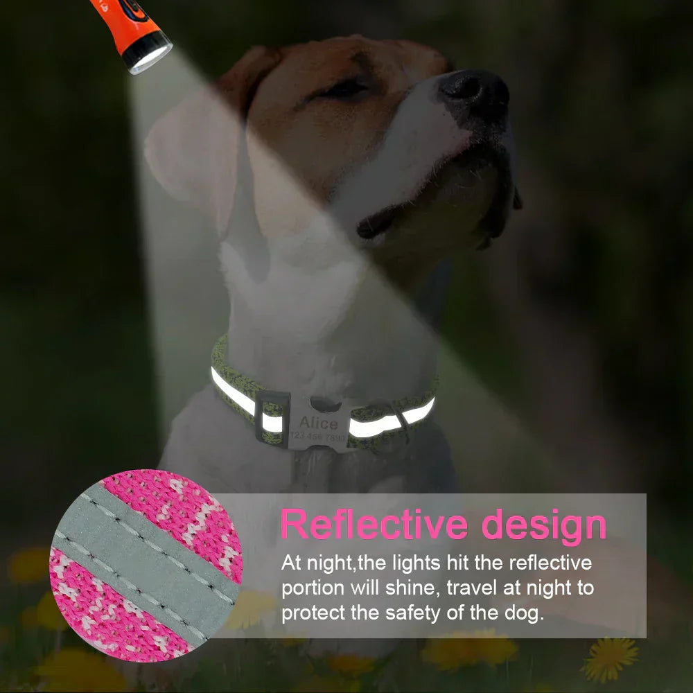 Customisable Dog Tag Collar