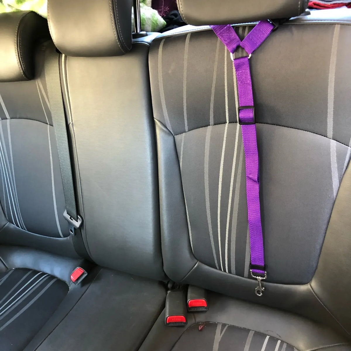 2-In-1 Dog Car Seat Belt Collar