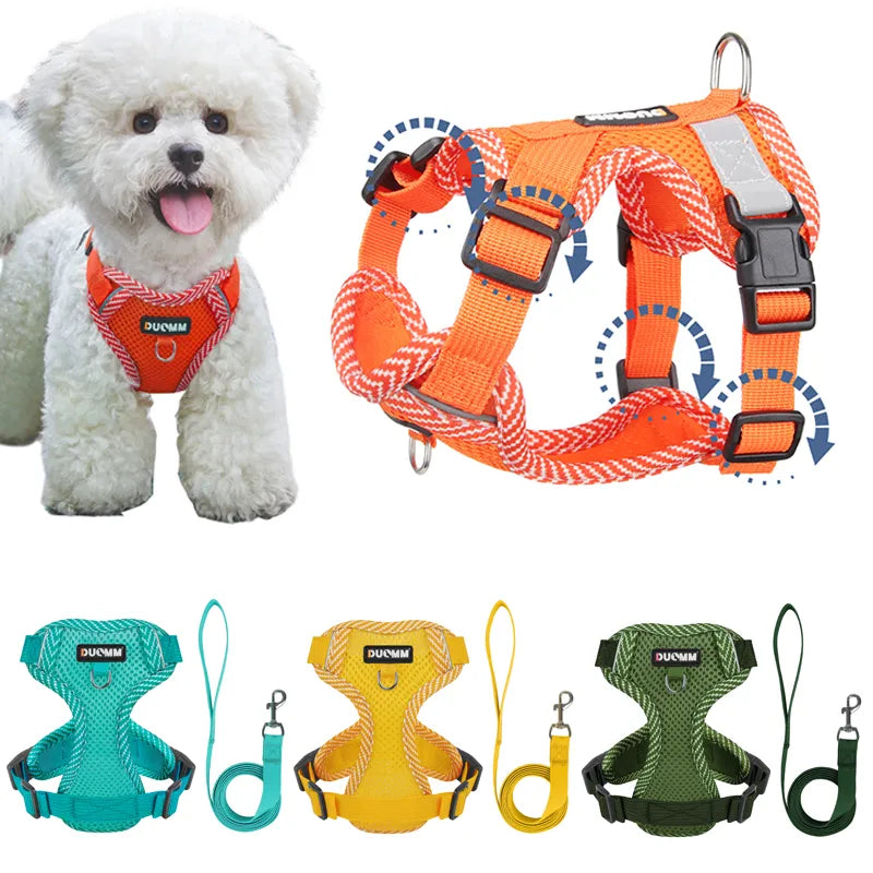 4-Point Adjustment Harness & Leash Set