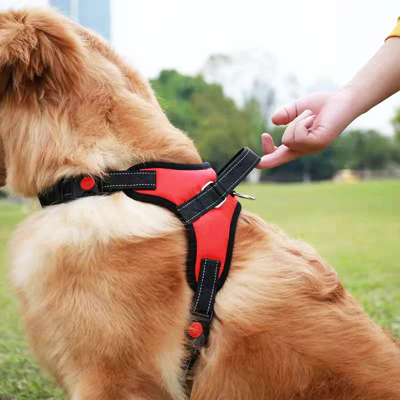 Saddle Dog Harness