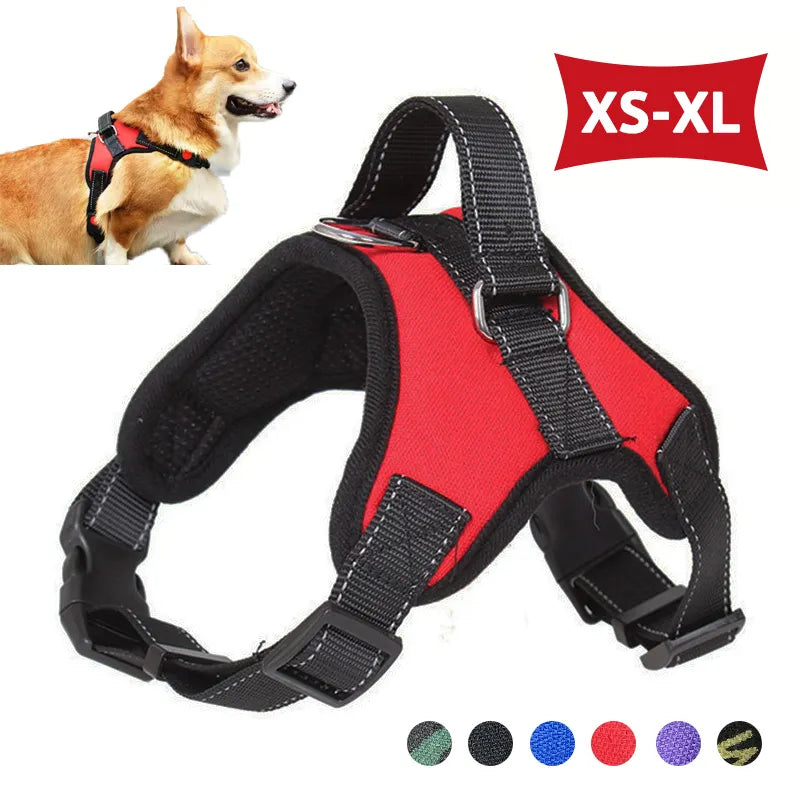 Saddle Dog Harness