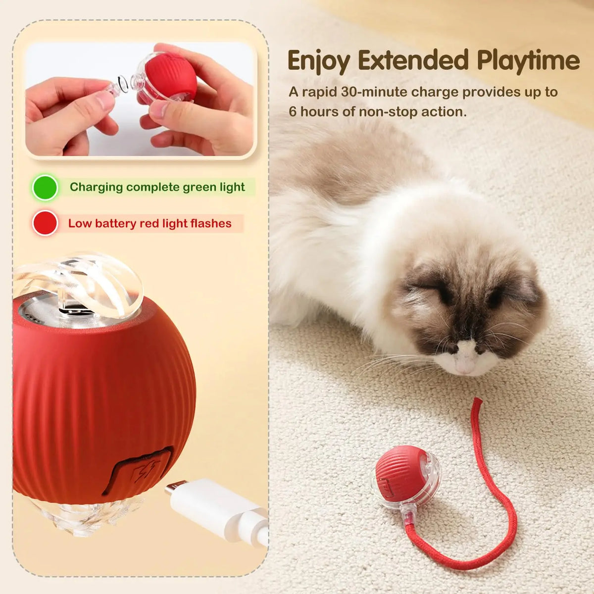 Interactive Rolling Ball with Tail