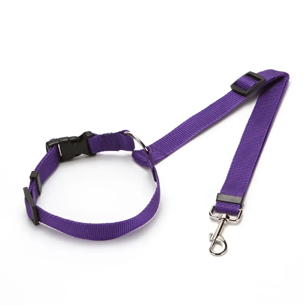 2-In-1 Dog Car Seat Belt Collar