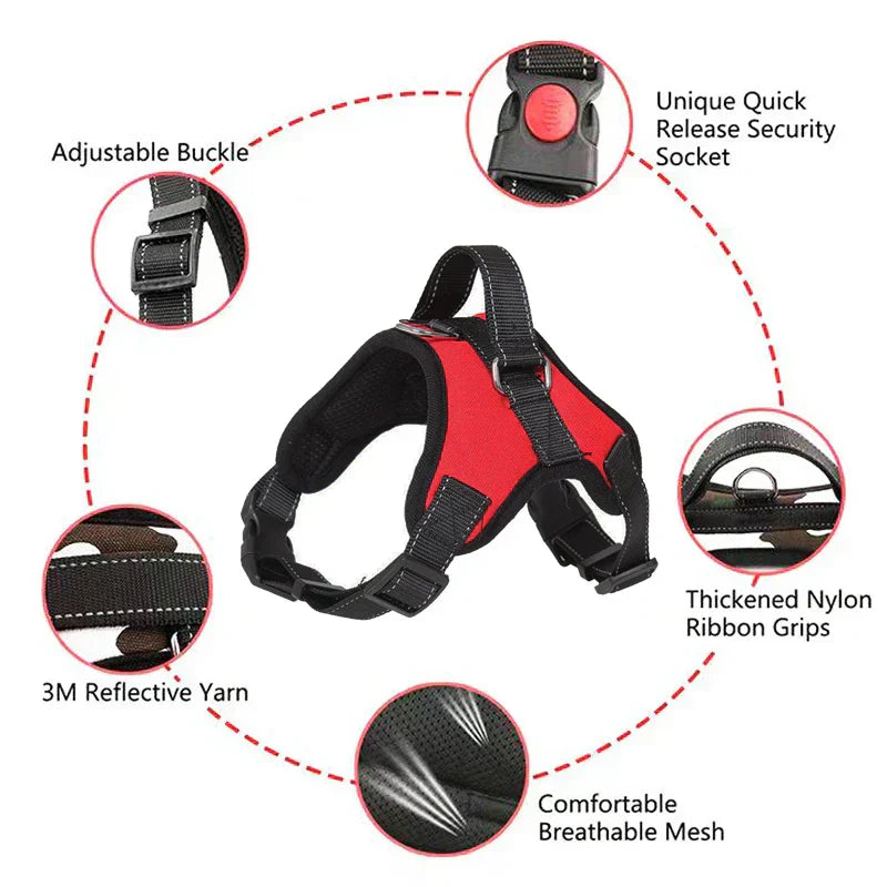 Saddle Dog Harness