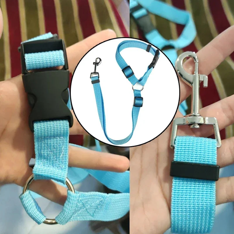 2-In-1 Dog Car Seat Belt Collar