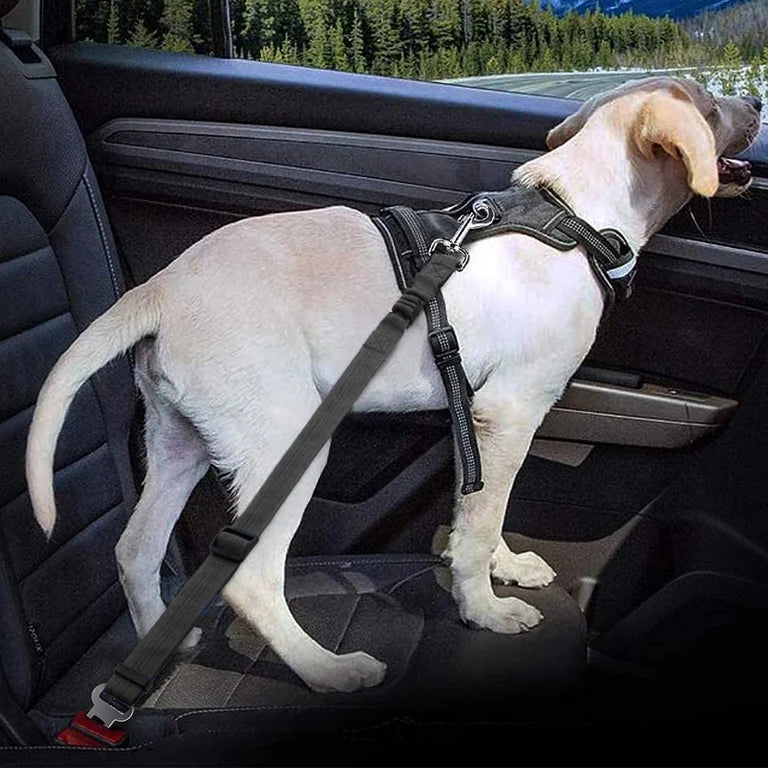 2-In-1 Dog Car Seat Belt Collar