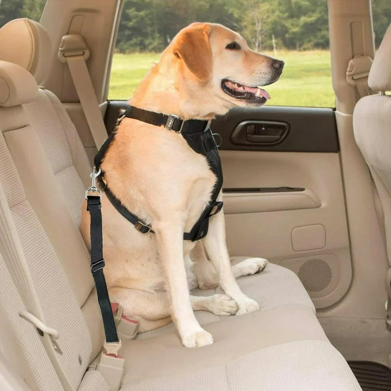 2-In-1 Dog Car Seat Belt Collar