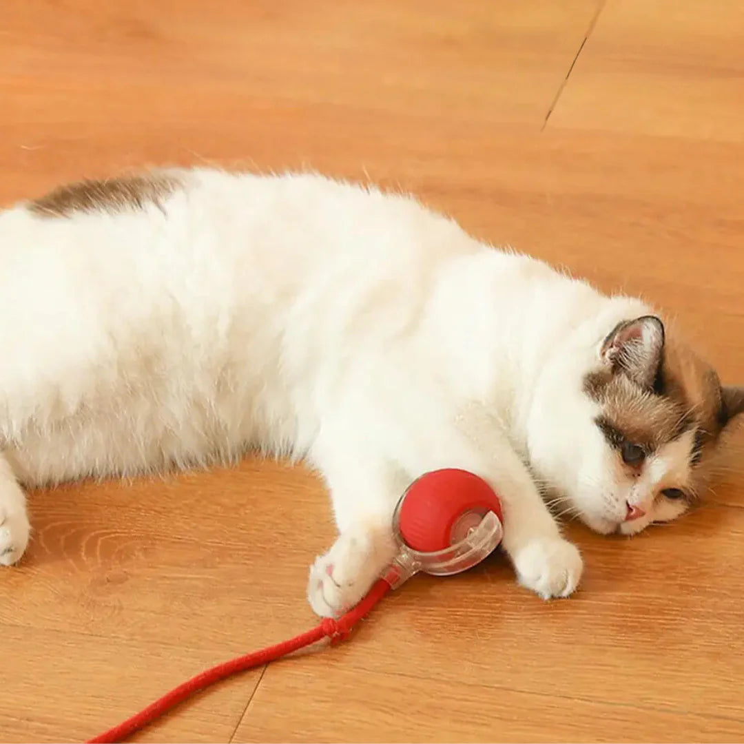 Interactive Rolling Ball with Tail