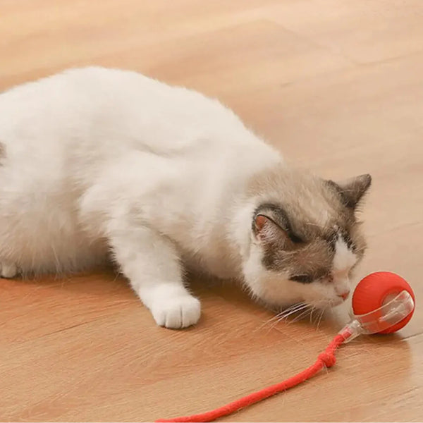 Interactive Rolling Ball with Tail