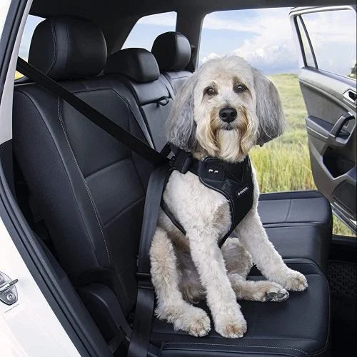 2-In-1 Dog Car Seat Belt Collar